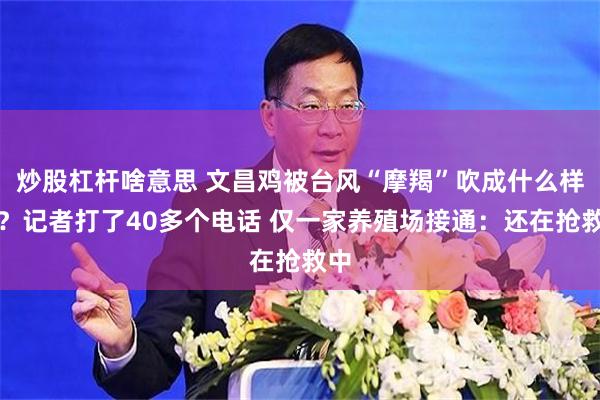 炒股杠杆啥意思 文昌鸡被台风“摩羯”吹成什么样了？记者打了40多个电话 仅一家养殖场接通：还在抢救中