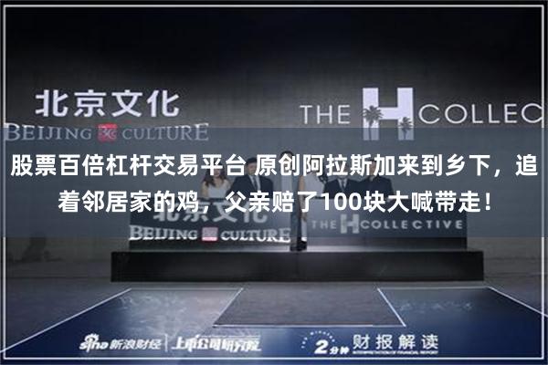 股票百倍杠杆交易平台 原创阿拉斯加来到乡下,追着邻居家的鸡,父亲赔了100块大喊带走!