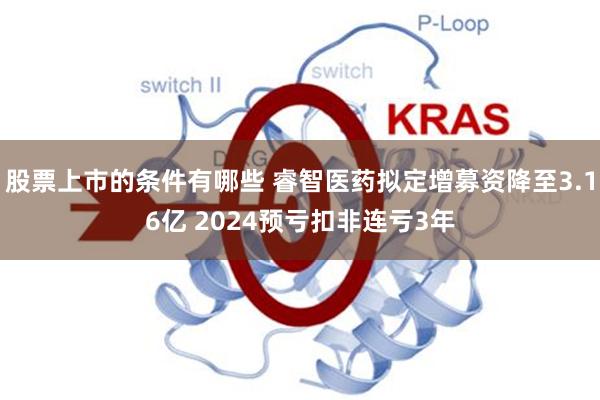 股票上市的条件有哪些 睿智医药拟定增募资降至3.16亿 2024预亏扣非连亏3年