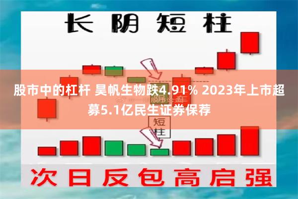 股市中的杠杆 昊帆生物跌4.91% 2023年上市超募5.1亿民生证券保荐
