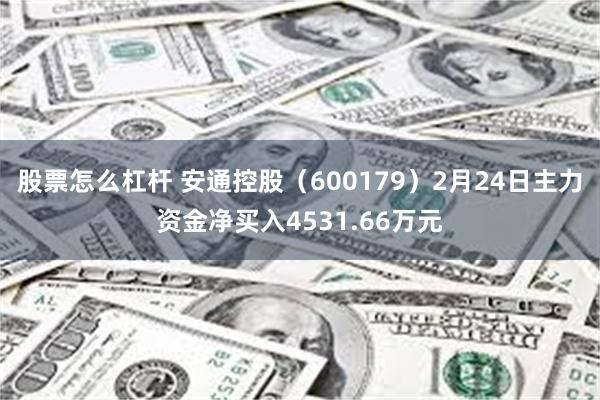 股票怎么杠杆 安通控股（600179）2月24日主力资金净买入4531.66万元