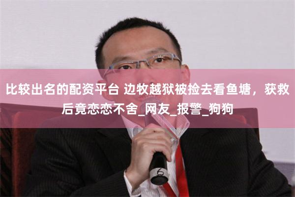 比较出名的配资平台 边牧越狱被捡去看鱼塘，获救后竟恋恋不舍_网友_报警_狗狗