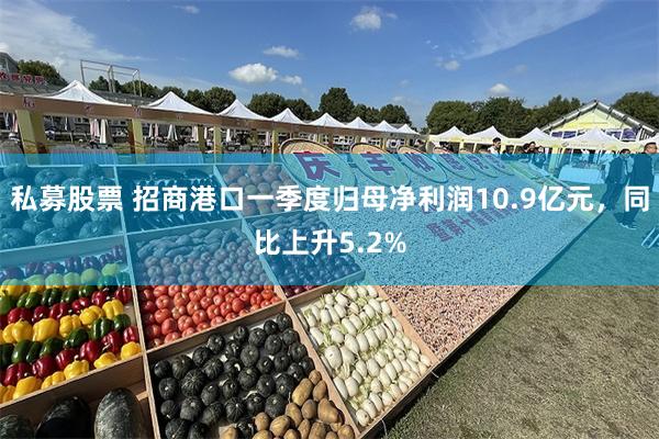 私募股票 招商港口一季度归母净利润10.9亿元，同比上升5.2%