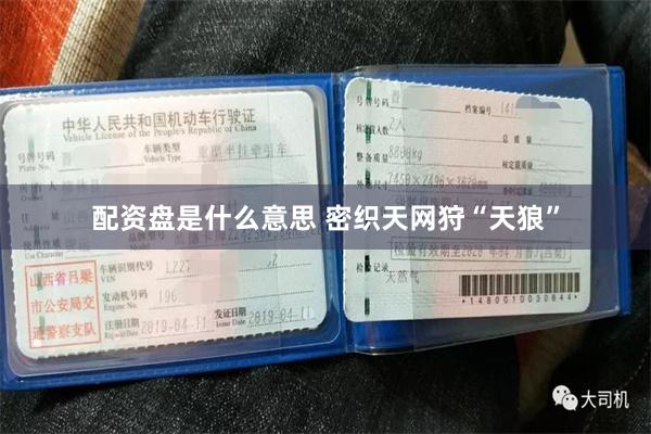 配资盘是什么意思 密织天网狩“天狼”