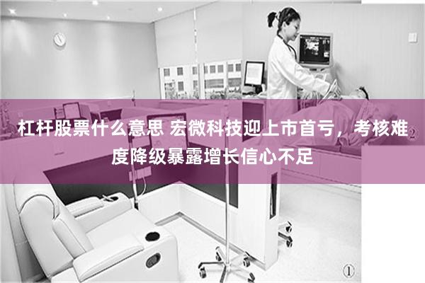 杠杆股票什么意思 宏微科技迎上市首亏，考核难度降级暴露增长信心不足
