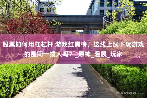 股票如何用杠杠杆 游戏红黑榜，这线上线下玩游戏的是同一拨人吗？_原神_漫展_玩家