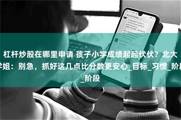 杠杆炒股在哪里申请 孩子小学成绩起起伏伏？北大学姐：别急，抓好这几点比分数更安心_目标_习惯_阶段