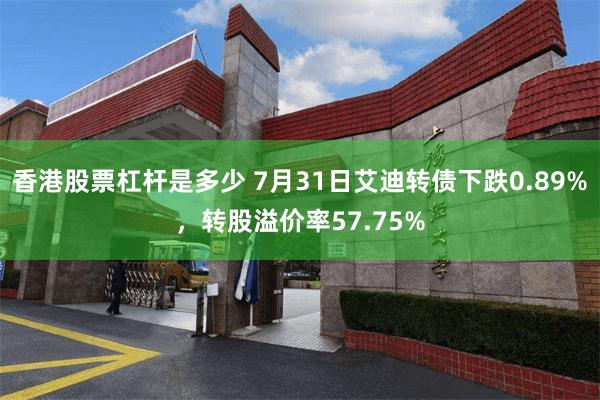 香港股票杠杆是多少 7月31日艾迪转债下跌0.89%，转股溢价率57.75%