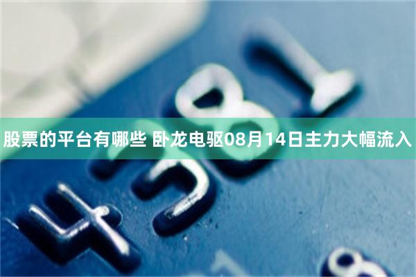 股票的平台有哪些 卧龙电驱08月14日主力大幅流入