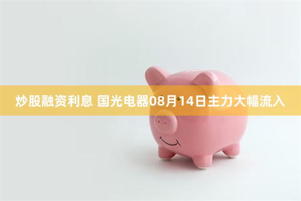 炒股融资利息 国光电器08月14日主力大幅流入
